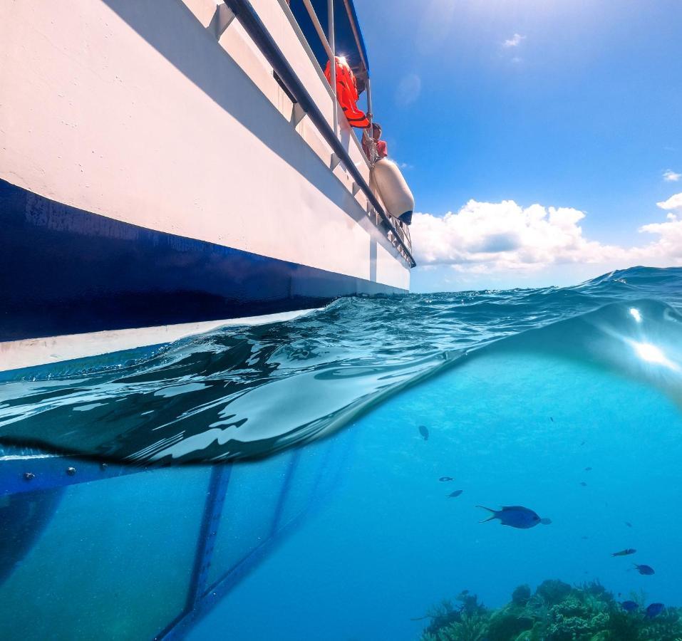Enigmatic Hotel Experience Cancun Dış mekan fotoğraf