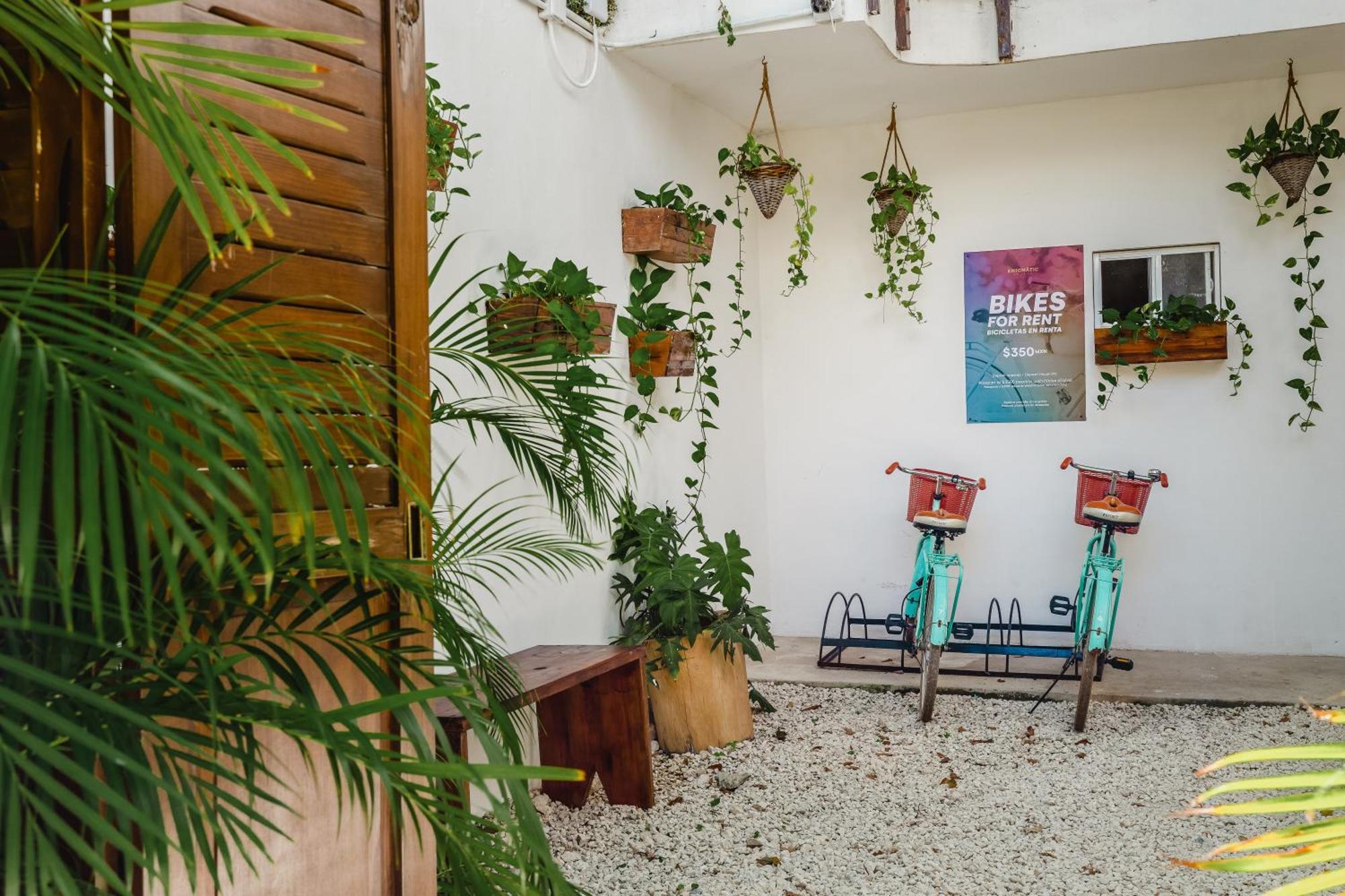 Enigmatic Hotel Experience Cancun Dış mekan fotoğraf