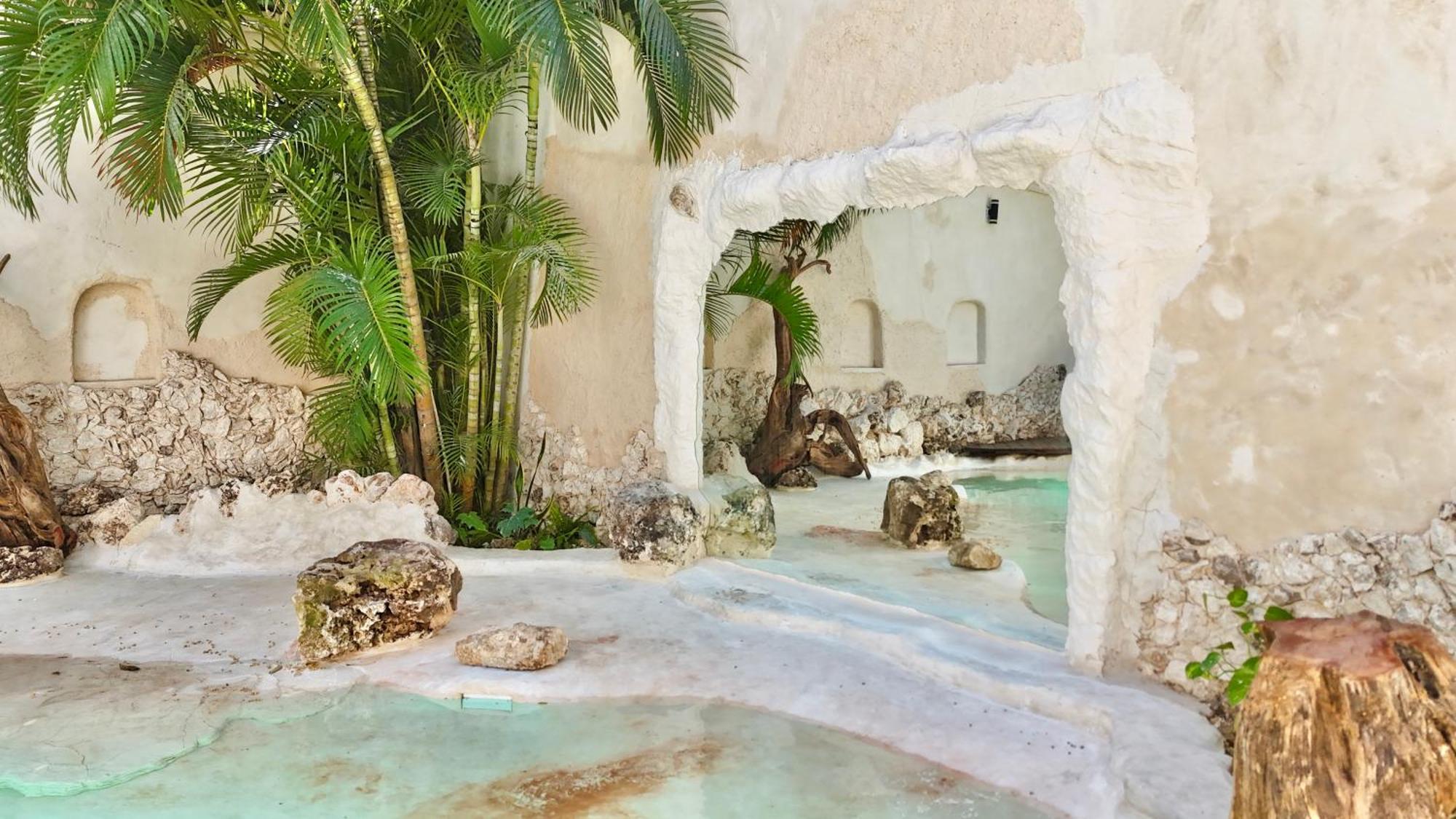 Enigmatic Hotel Experience Cancun Dış mekan fotoğraf